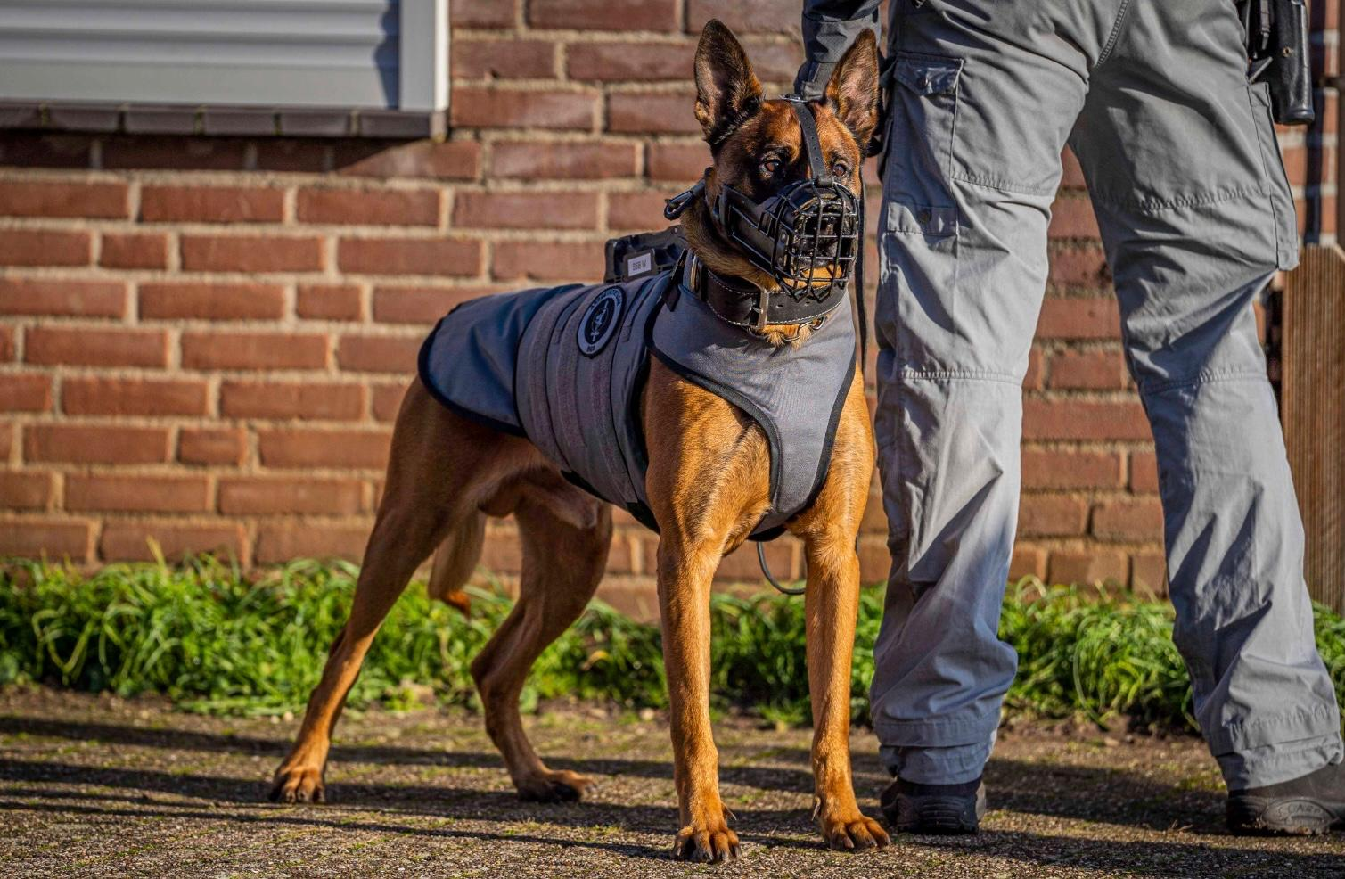 Twee verdachten aangehouden na gevaarlijke achtervolging met gestolen auto