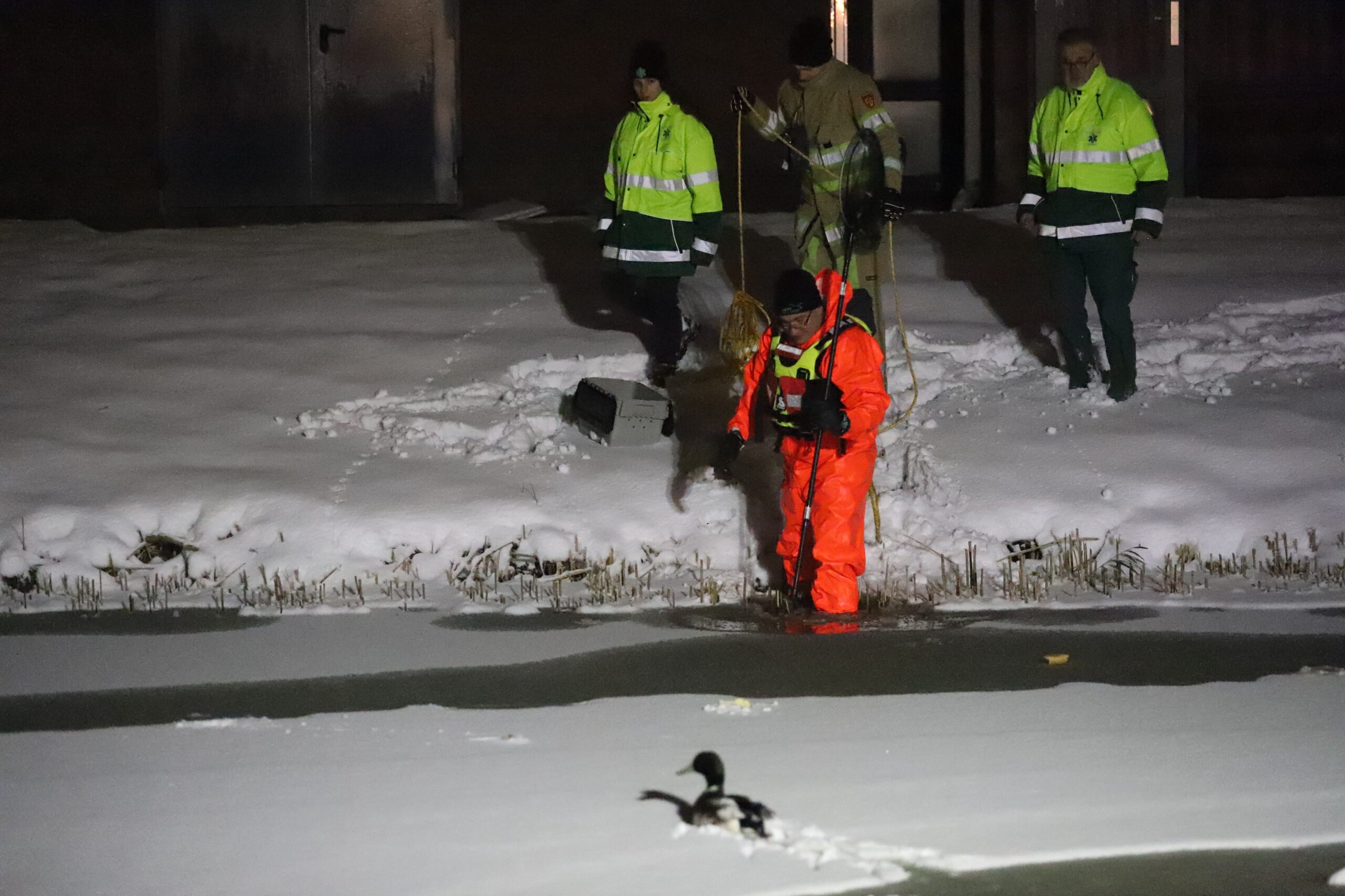 Brandweer redt eend van ijs