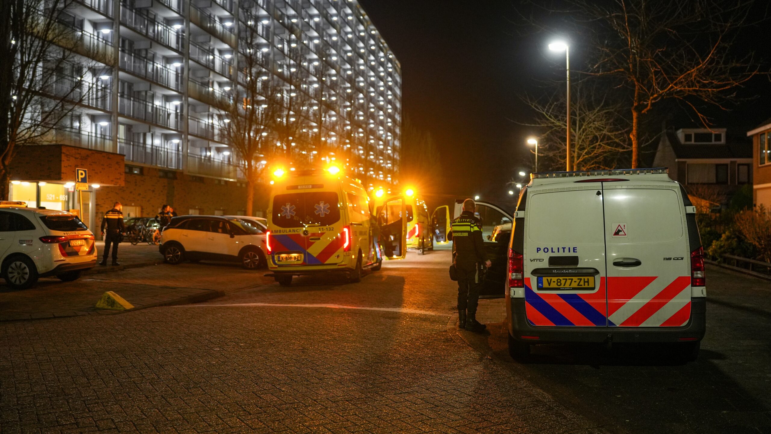 DSC06374_resized - 112 Nederland