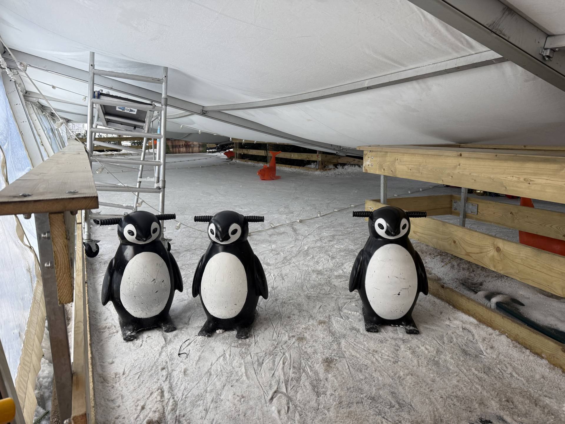 Dak schaatsbaan ingestort door sneeuw, kinderen op tijd van ijs gehaald