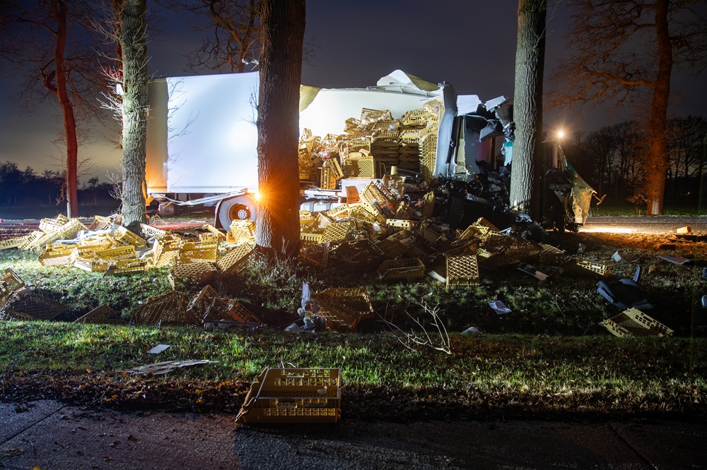 Chauffeur valt in slaap en ramt meerdere bomen