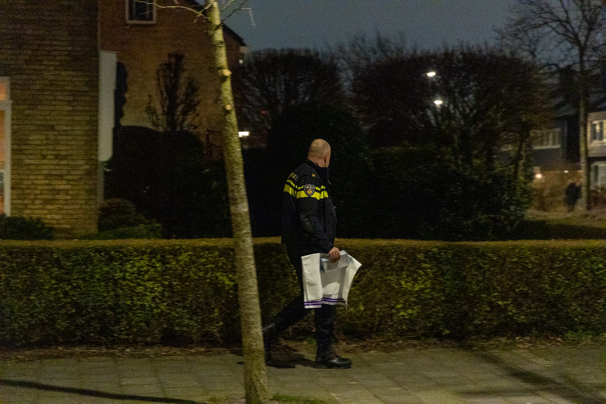 Poging tot woninginbraak, verdachte slaat op de vlucht