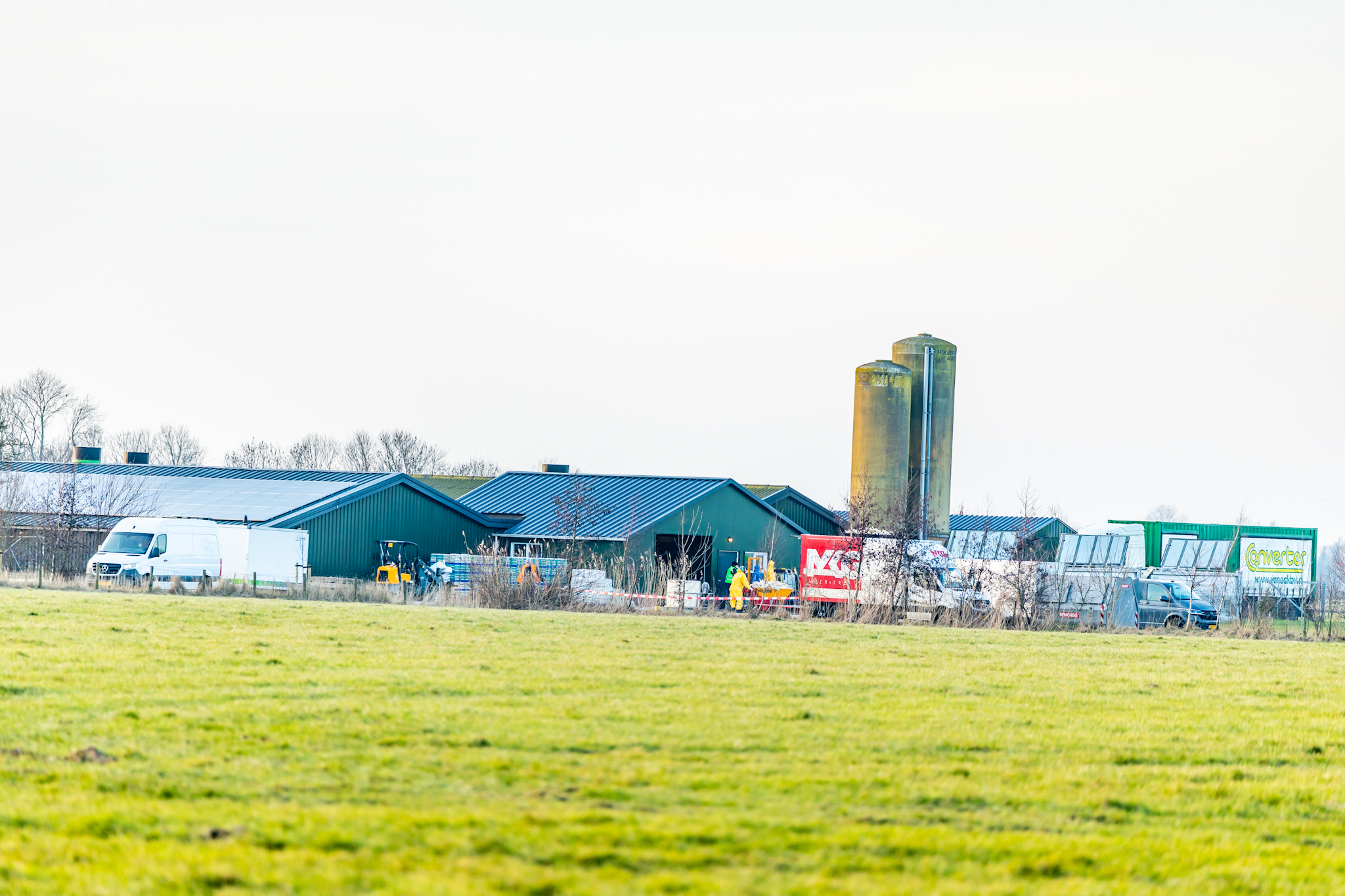 Vogelgriep vastgesteld, 30.000 kippen geruimd en vervoersverbod ingesteld