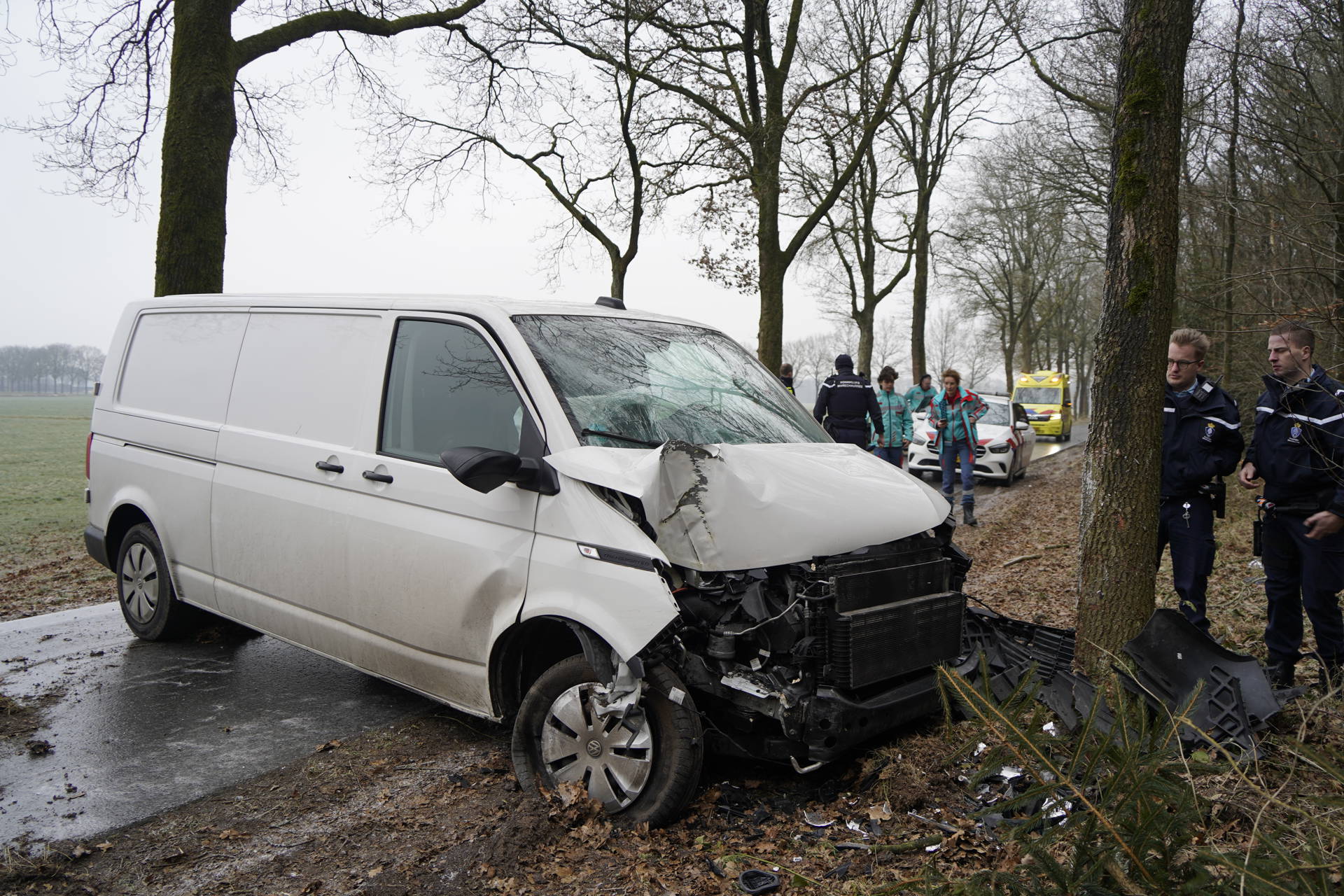 Bestelbus botst frontaal tegen boom