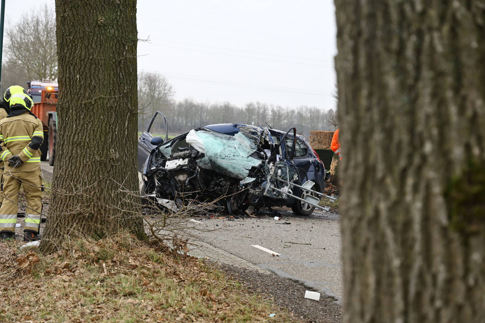 Automobilist dood na crash tegen boom