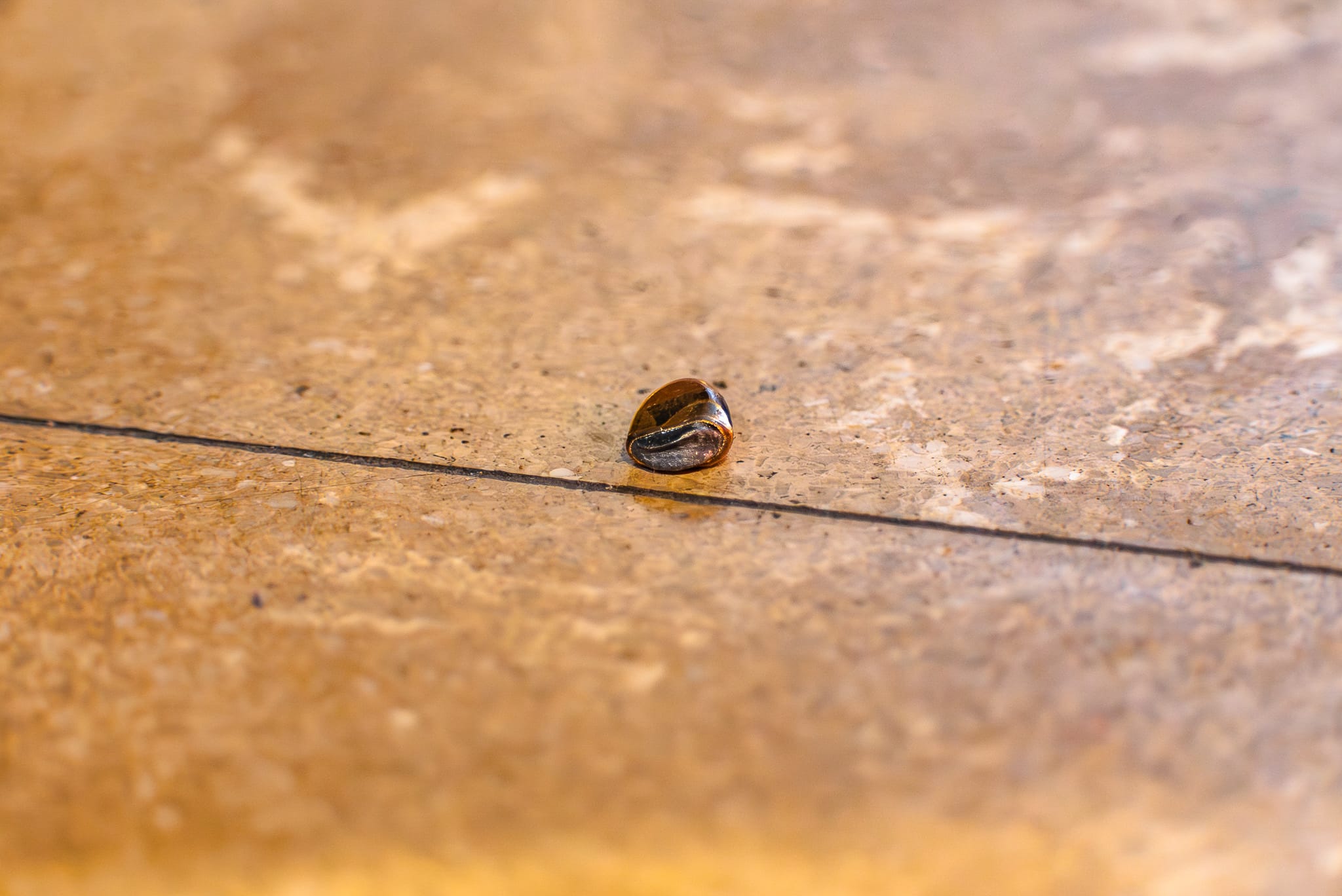 Slachtoffer schietpartij ‘op het verkeerde moment op de verkeerde plek’, verdachte vrijgelaten