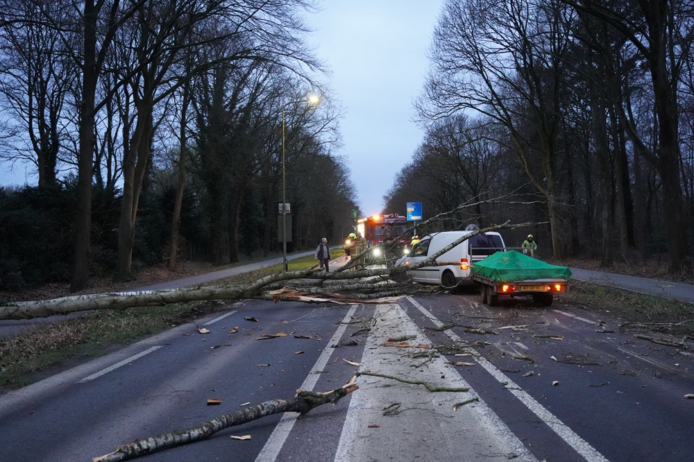 Boom valt op rijdende bestelauto, weg volledig afgesloten