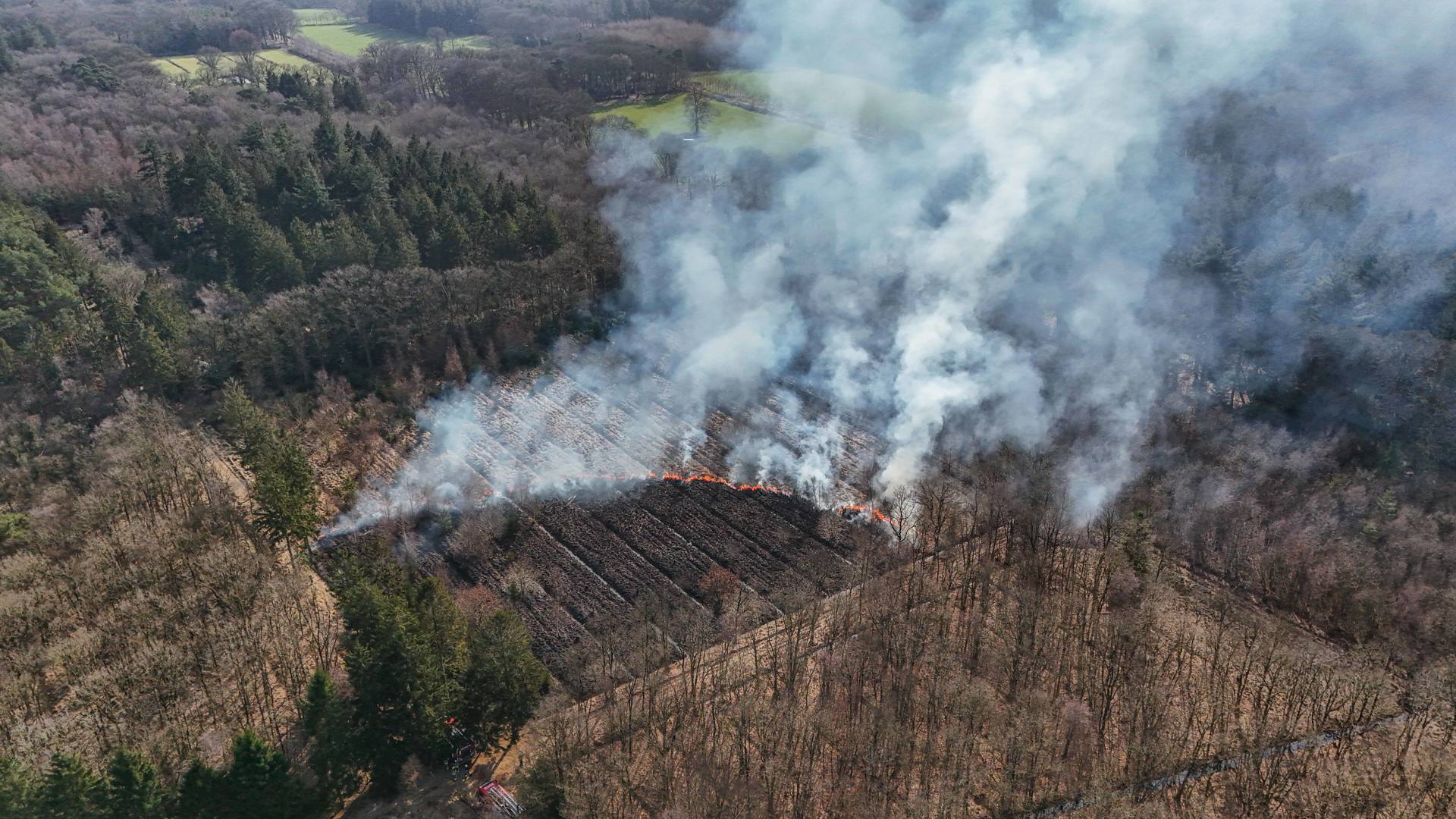 Bosbrand van 20 bij 30 meter, brandweer zet drone in bij blussen