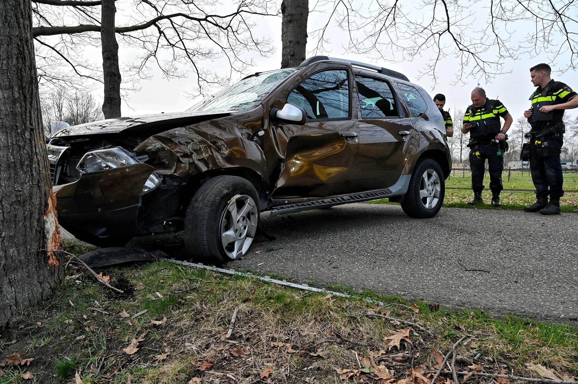 Automobilist gewond na botsing tegen boom, hond in auto aanwezig