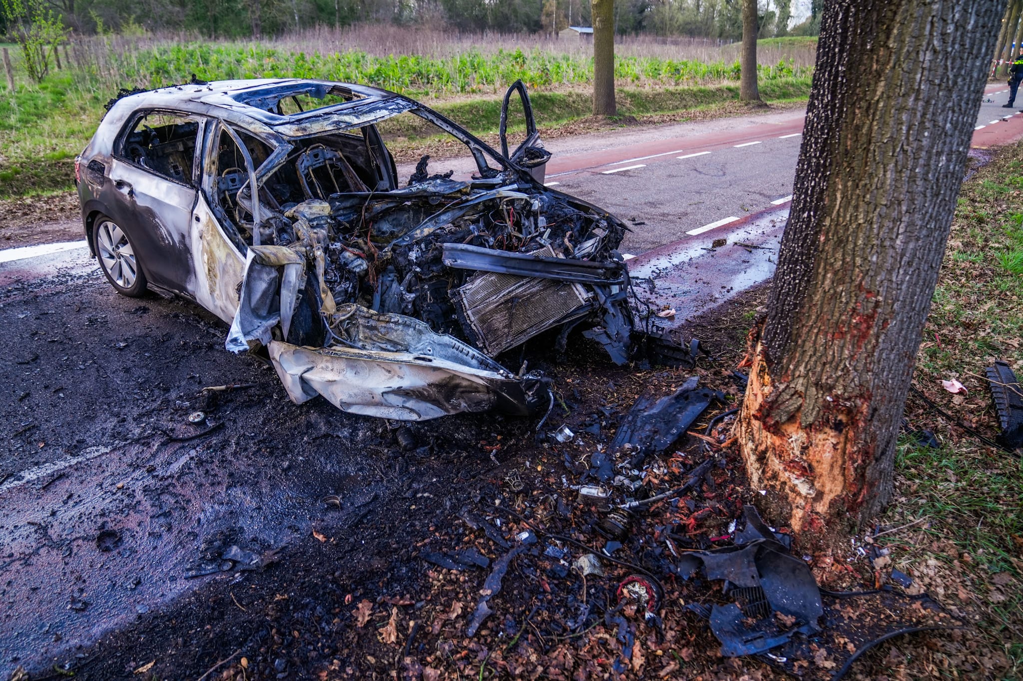 Auto botst tegen boom en vliegt in brand, 20-jarige man overleden
