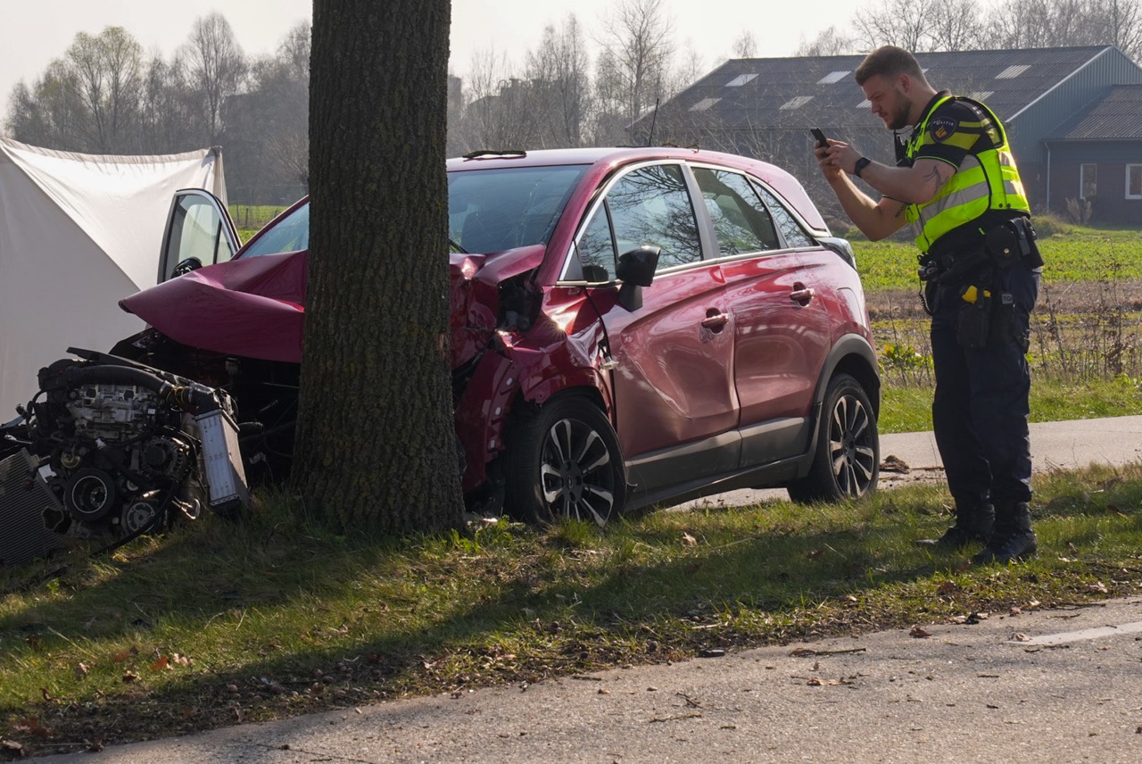 Auto botst tegen boom, bestuurster overleden