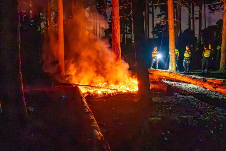 Jongens ontdekken bosbrand en slaan alarm
