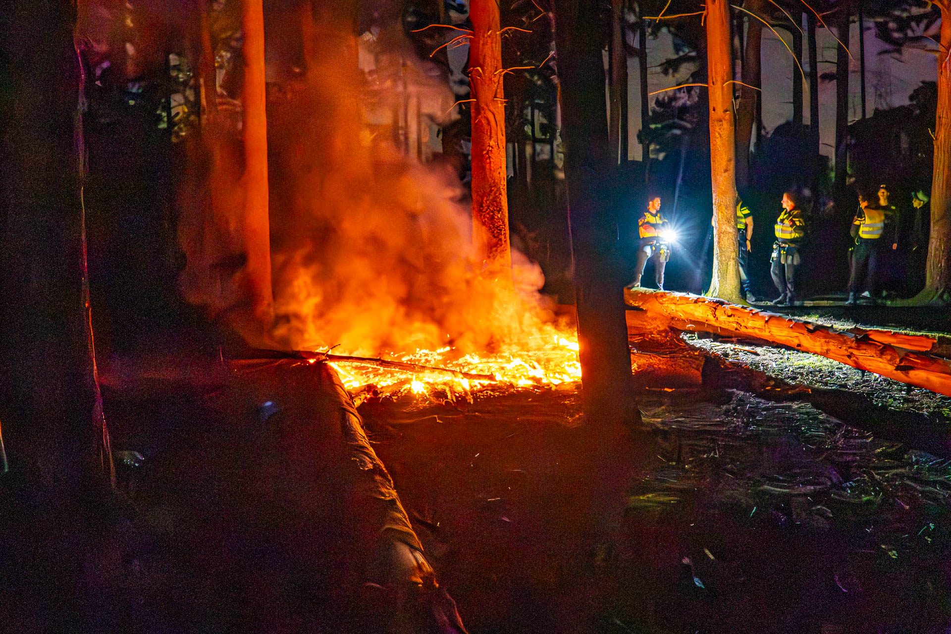 Jongens ontdekken bosbrand en slaan alarm