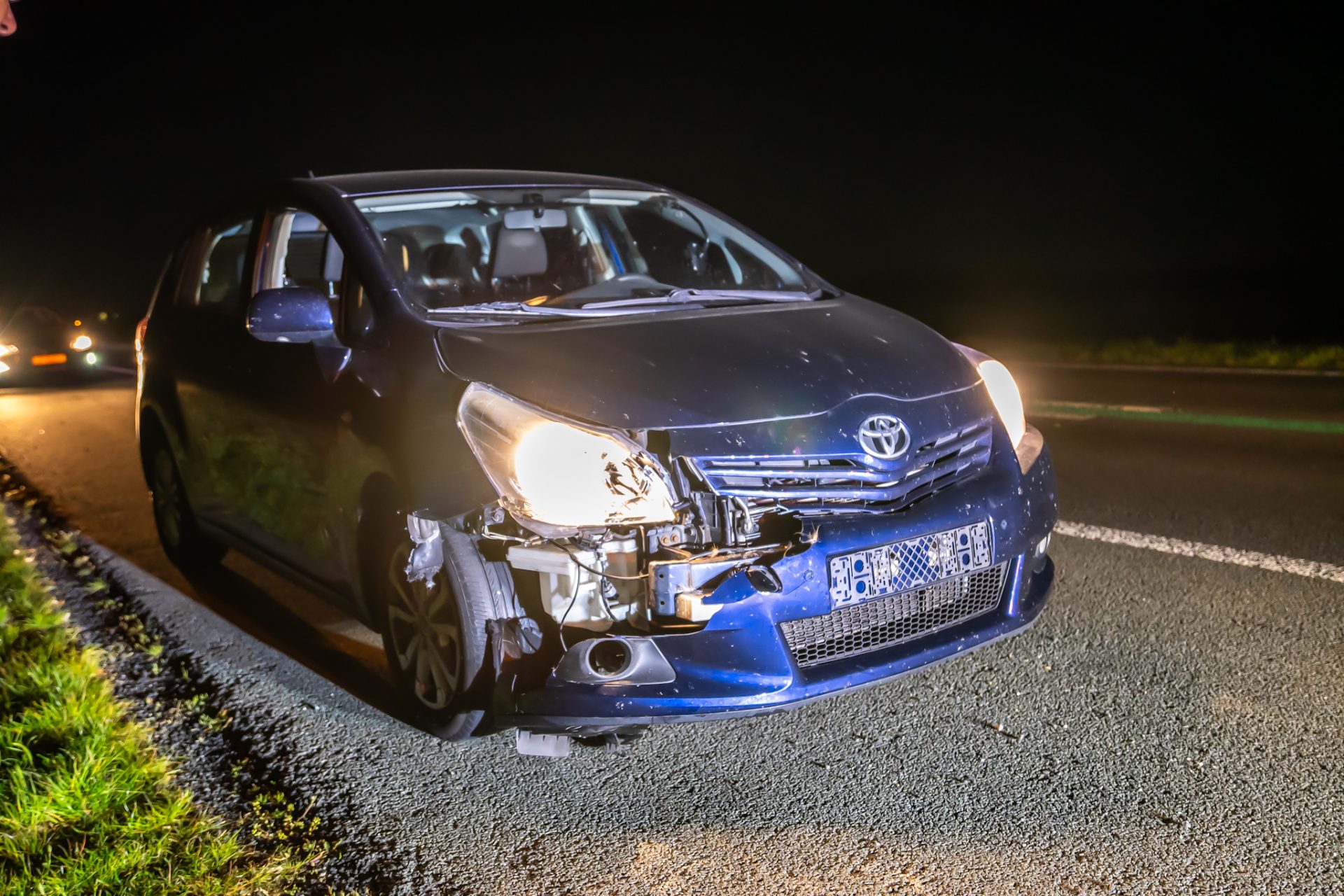 Ree overleden na aanrijding met auto