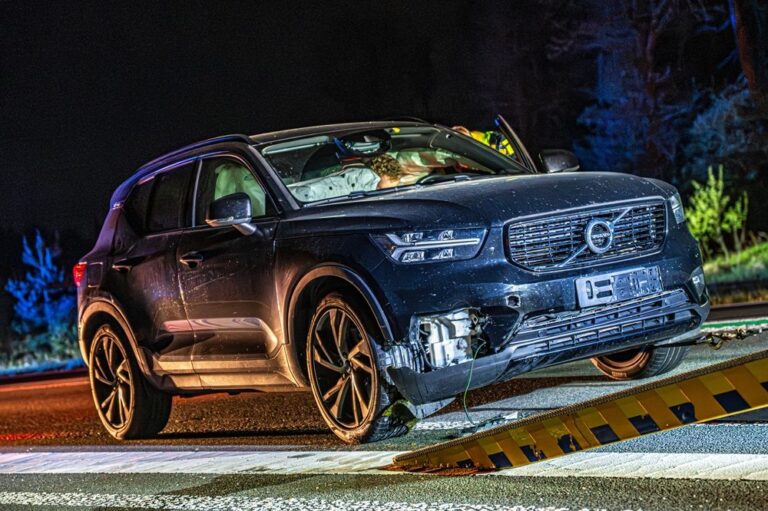 Ree overleden na botsing met auto