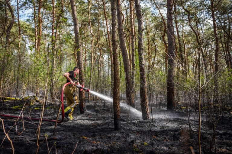 Opnieuw bosbrand, vijfde keer in vier dagen
