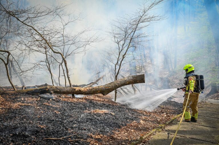 Jongens op de vlucht na veroorzaken bosbrand