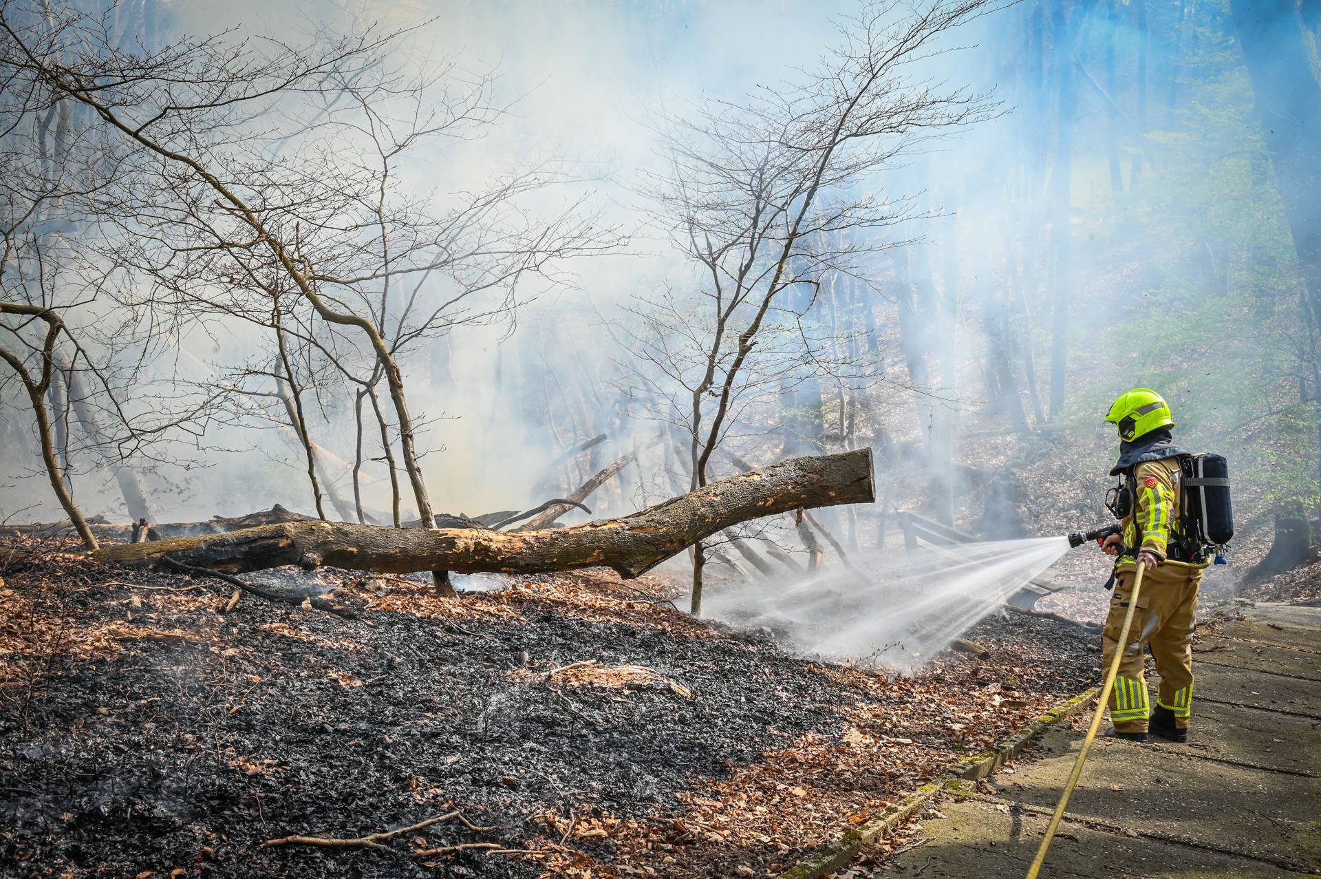 Jongens op de vlucht na veroorzaken bosbrand