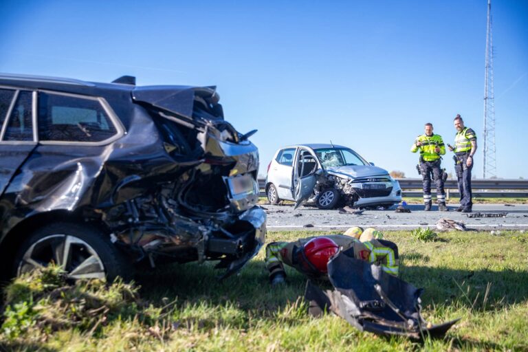 Ernstig ongeval door overstekende ganzenfamilie