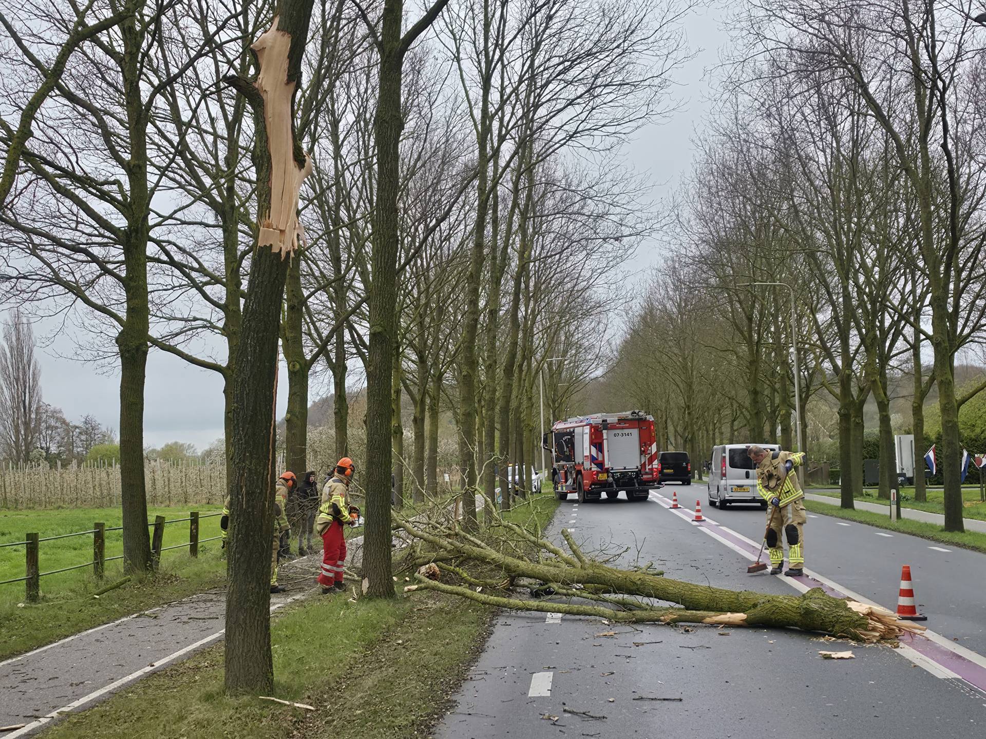 Vrachtwagen beschadigd door omvallende boom