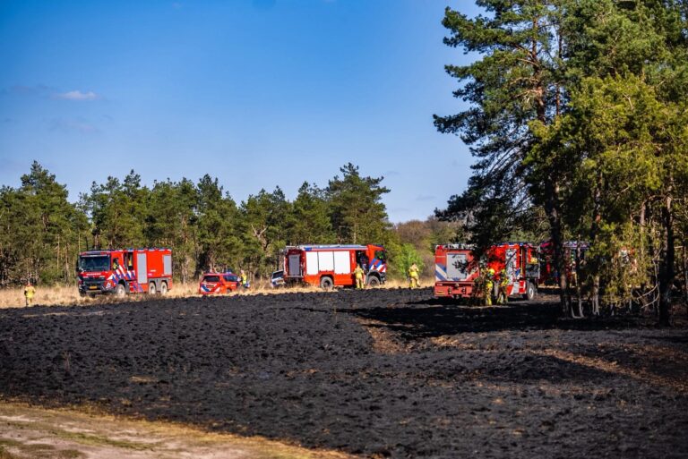 Brandweer groots ter plaatse bij heidebrand