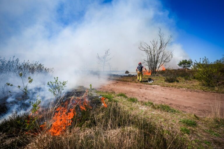 Grote brand uitgebroken op de Oirschotse Heide