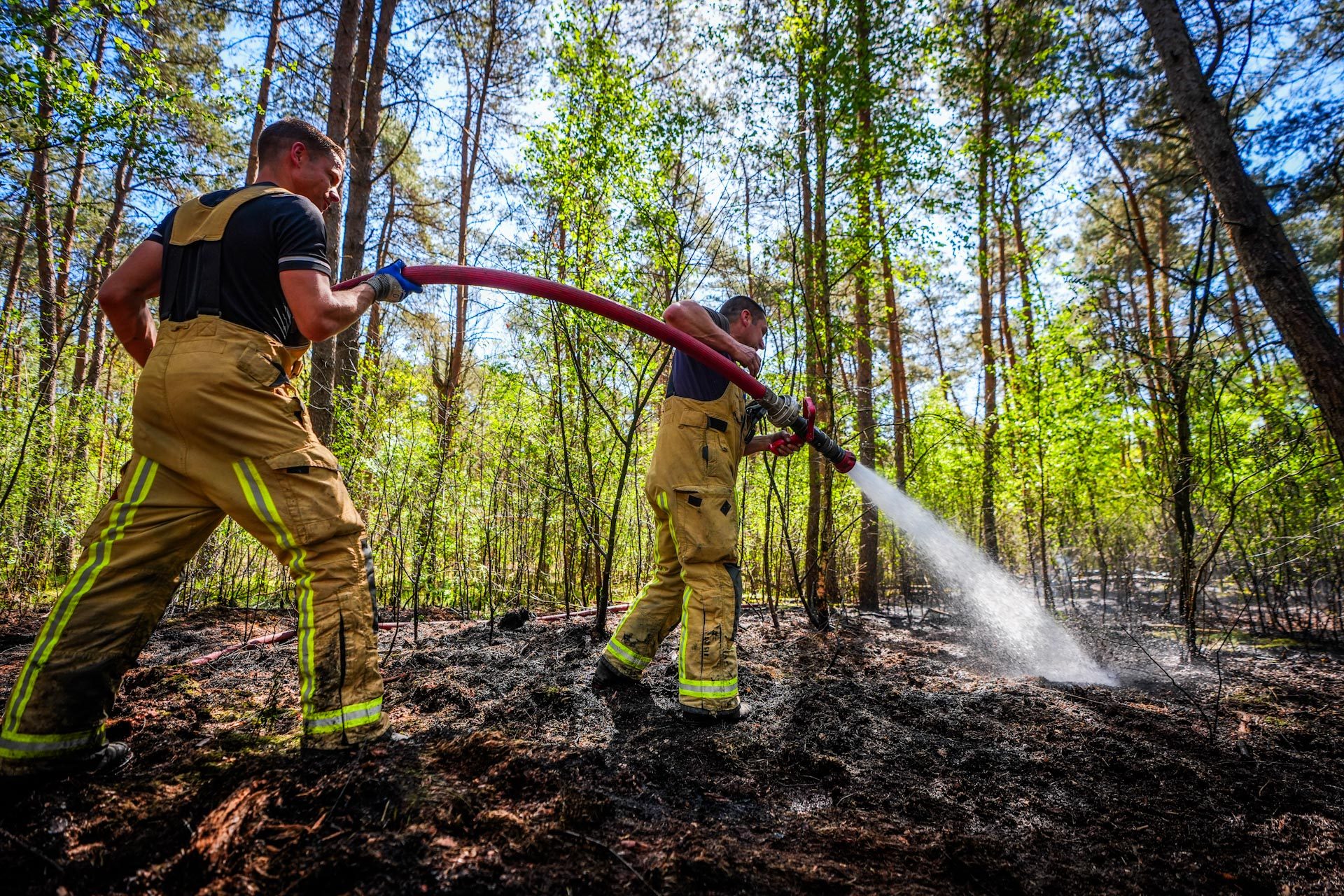 Brandweer voor zesde keer op rij naar bosgebied voor brand