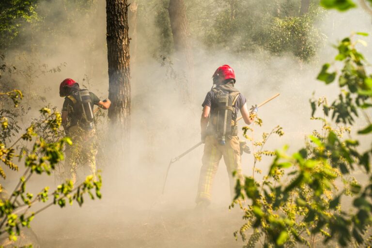 Grote bosbrand op defensieterrein