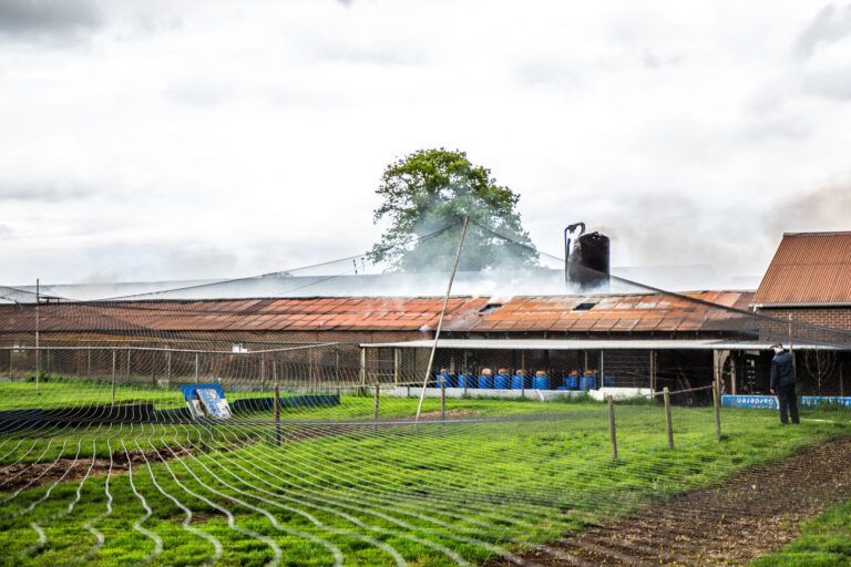 Grote brand in leegstaande kippenschuur