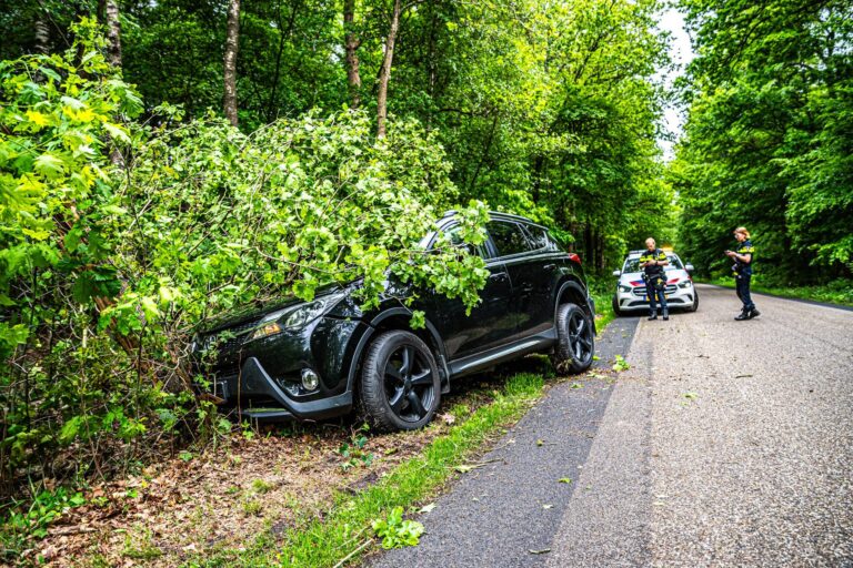 Vrouw ernstig gewond na botsing tegen boom