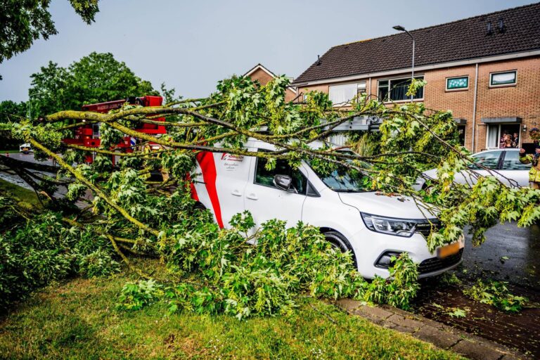 Grote boomtak valt op geparkeerde bestelbus