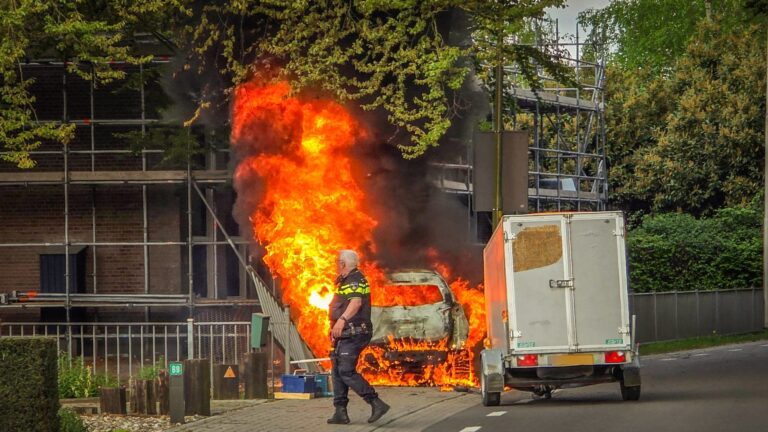 Auto botst tegen boom en vliegt in brand