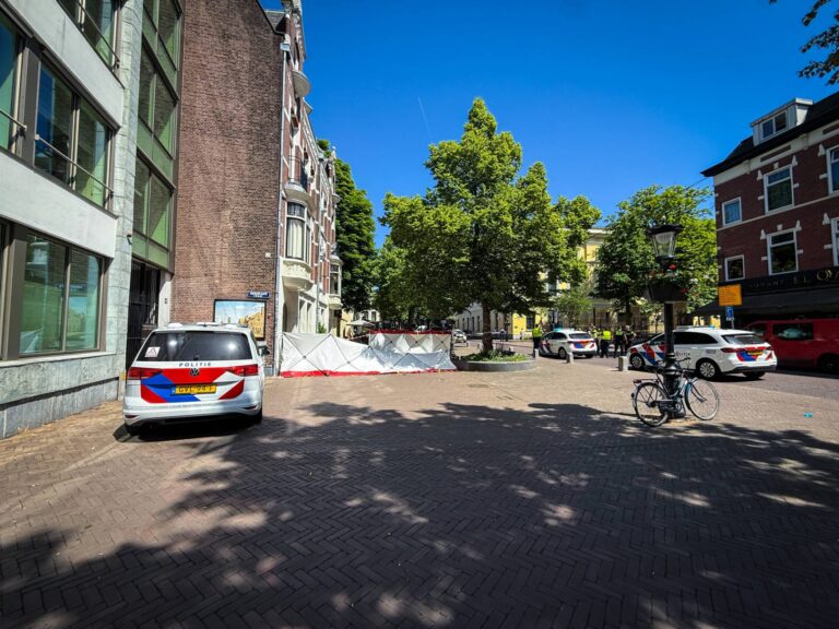Klopjacht na vermoedelijke steekpartij in centrum