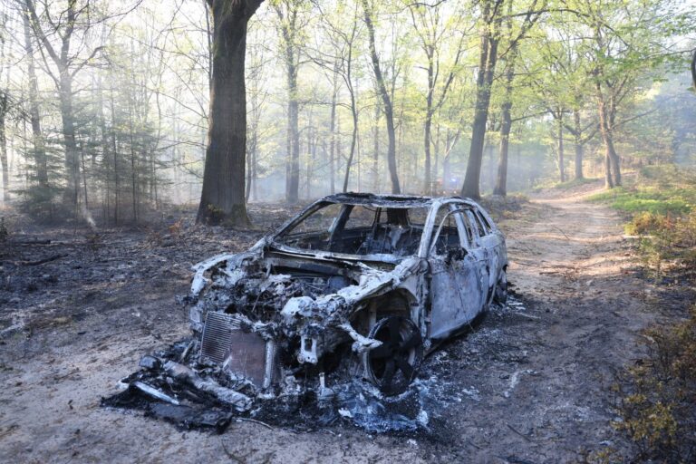 Bos vat vlam na brandende auto