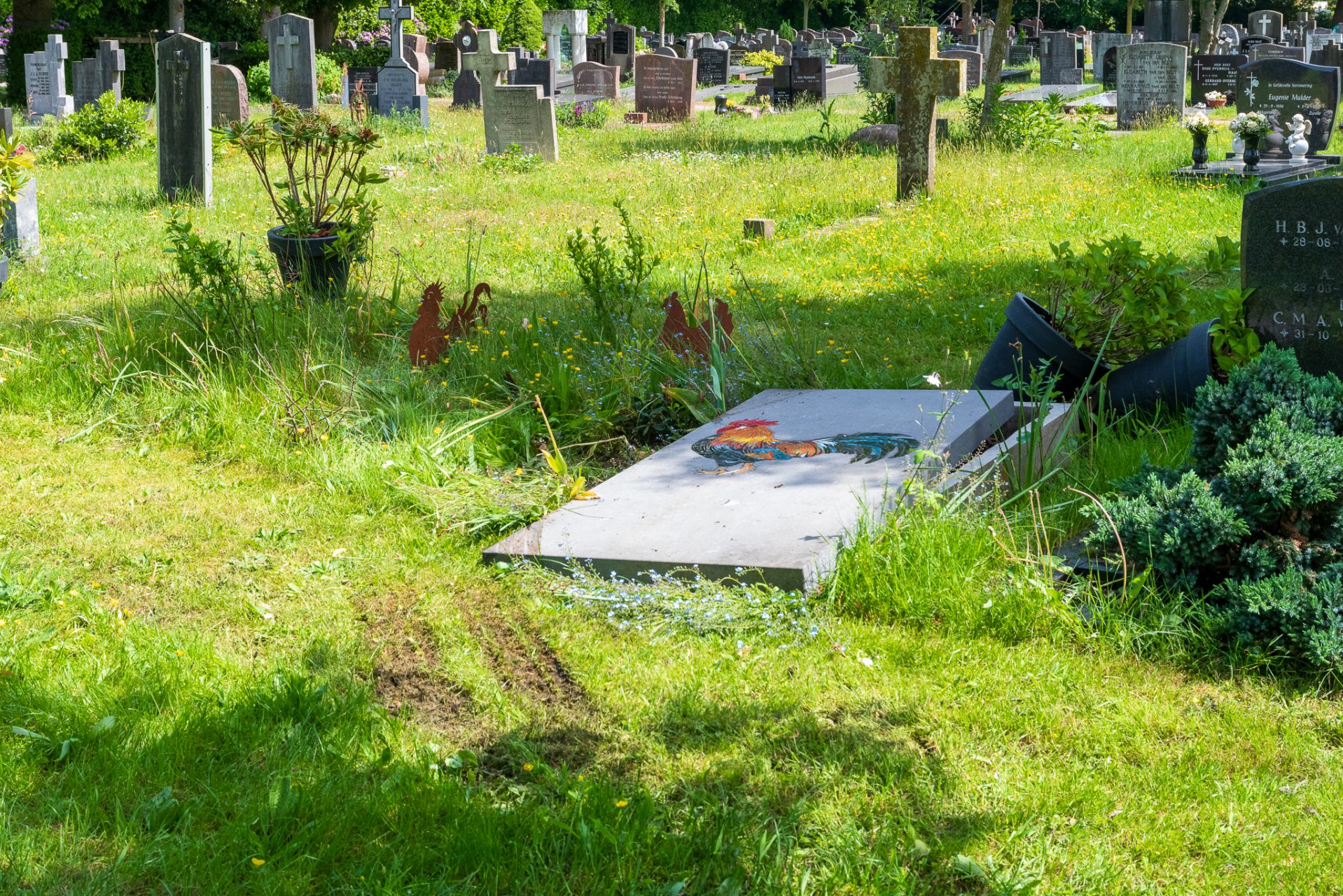 Grote schade op begraafplaats aangericht door bestelbusje