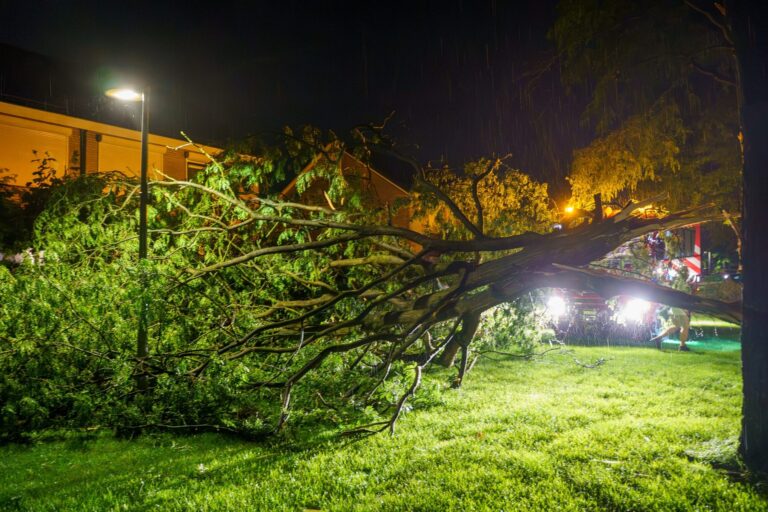 Valwind veroorzaakt flinke stormschade