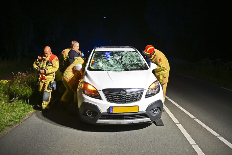 Vrouw (52) overleden nadat lantaarnpaal door voorruit schiet
