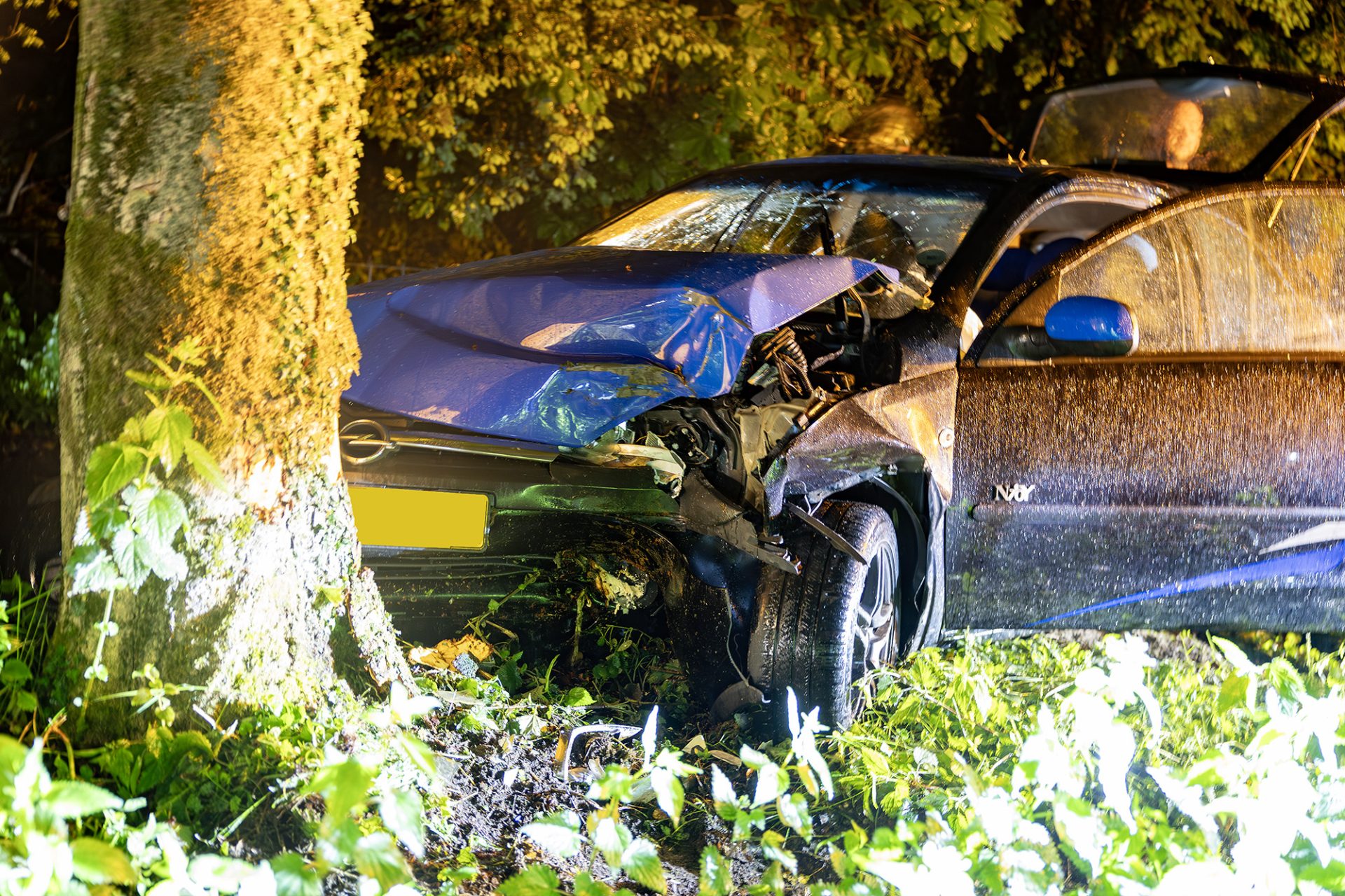Automobilist raakt van de weg en botst tegen boom
