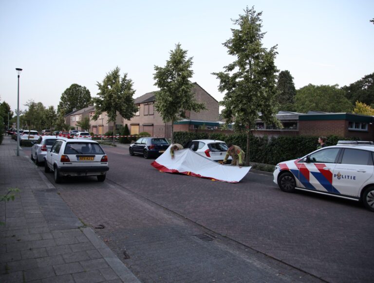 Overleden vrouw aangetroffen in geparkeerde auto