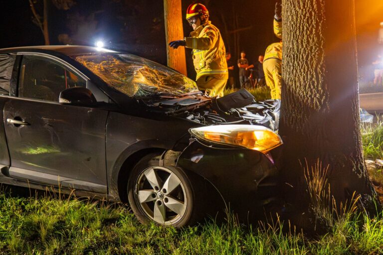 Automobilist gewond na botsing tegen bomen