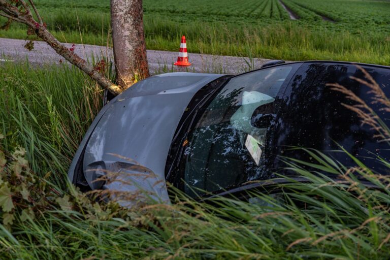 Automobilist botst tegen boom na rit door berm