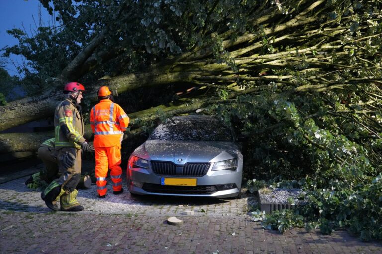 Boom waait om en valt op auto en woning