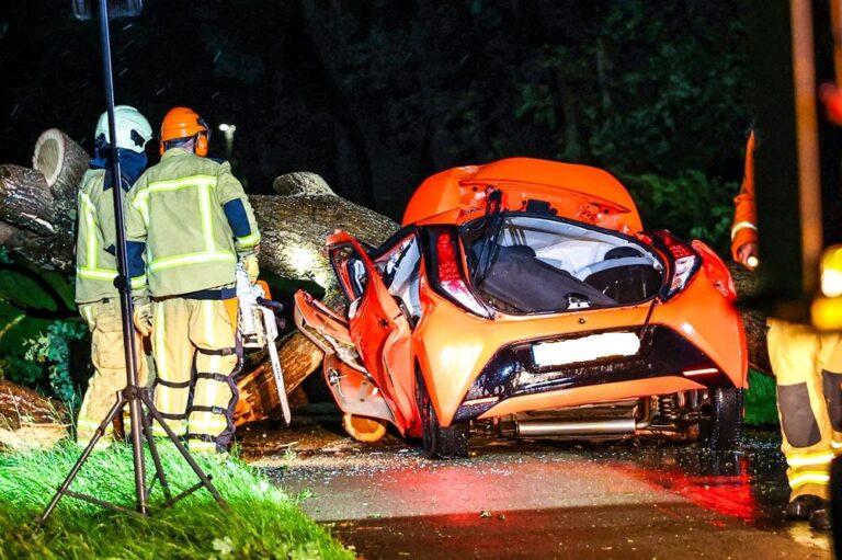 Dode door noodweer, boom valt op rijdende auto