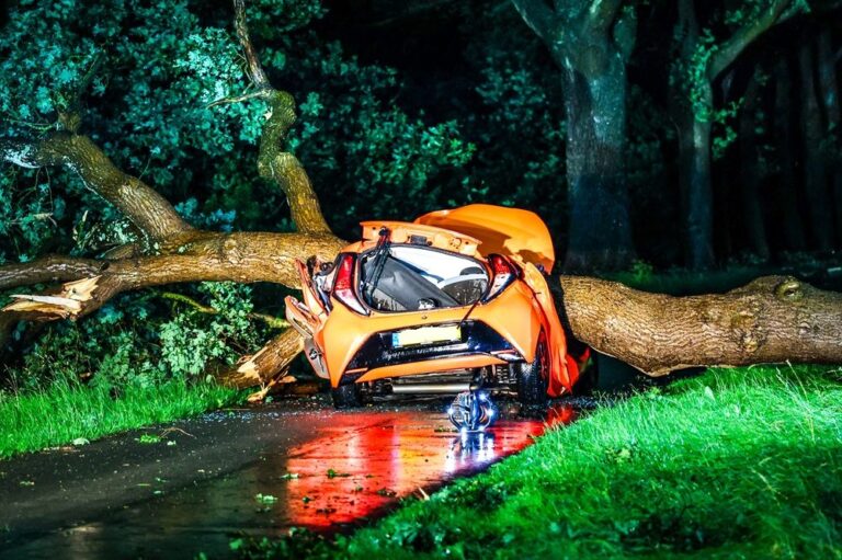 Vrouw (25) overleden door boom op auto