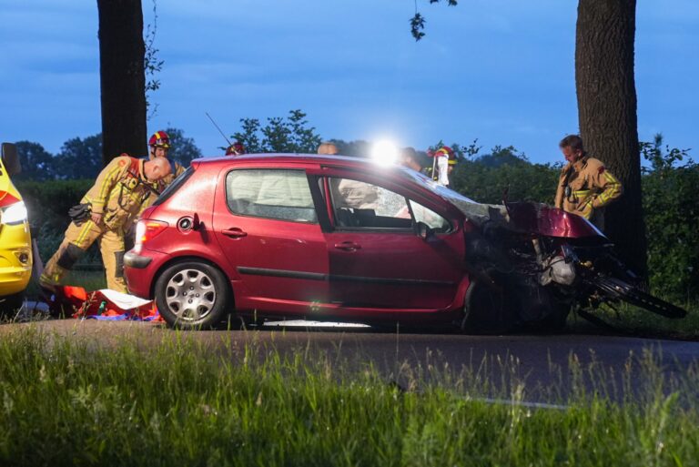 Automobilist ernstig gewond na botsing tegen boom