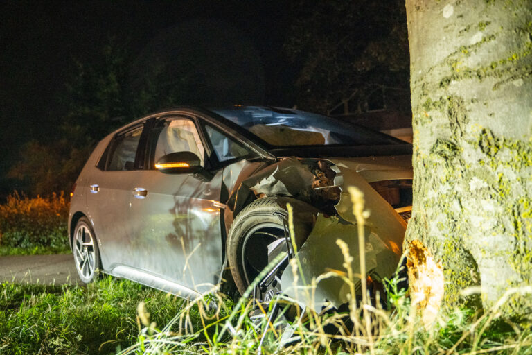 Automobilist schrikt van dier en knalt tegen boom