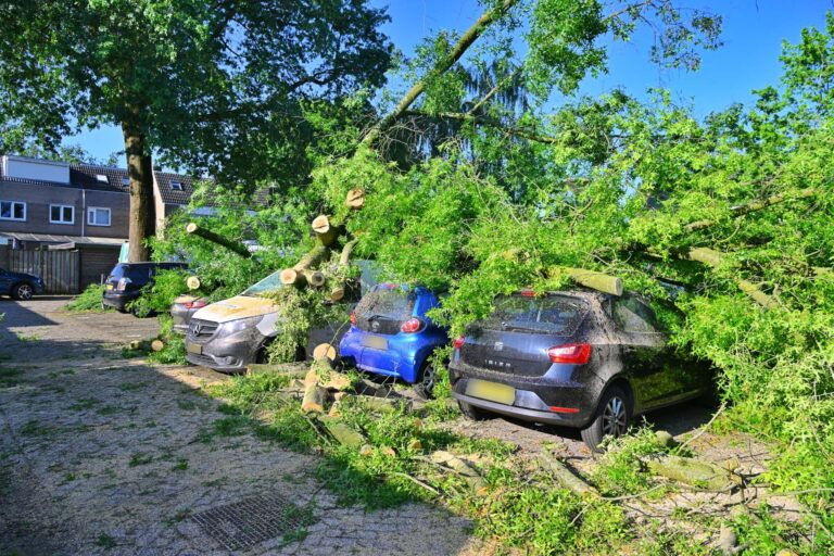 Omgevallen boom beschadigt vijf auto’s