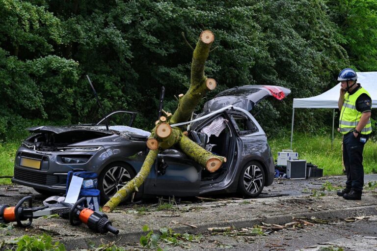 Bestuurder (45) overleden nadat boom op auto valt