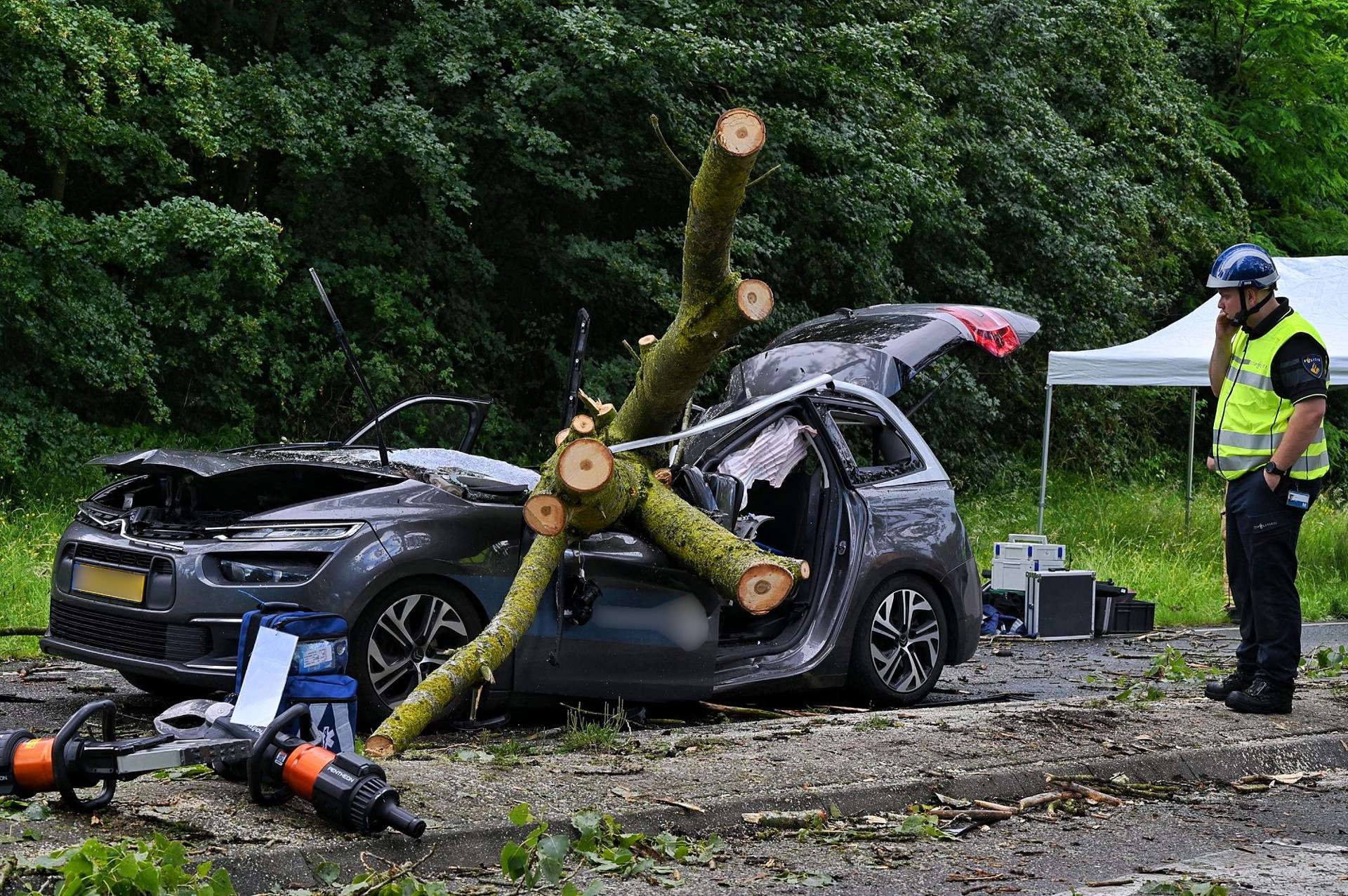 Automobilist overleden nadat boom op auto valt