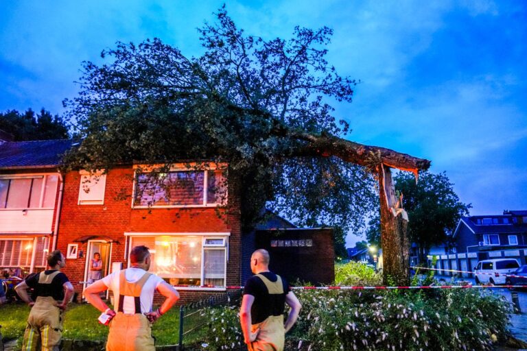 Grote boom breekt door storm en valt op woning
